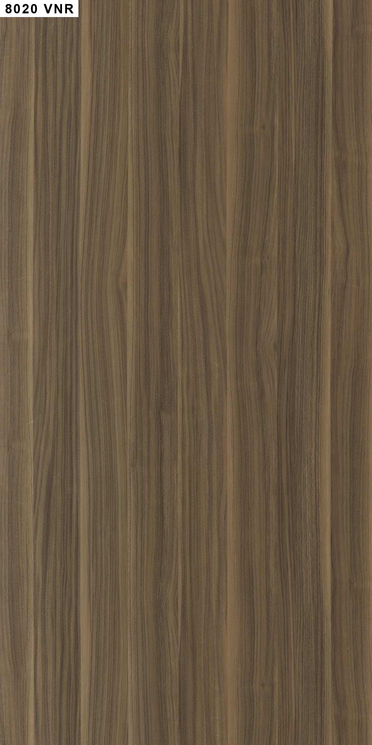 8020 WALNUT PLANK